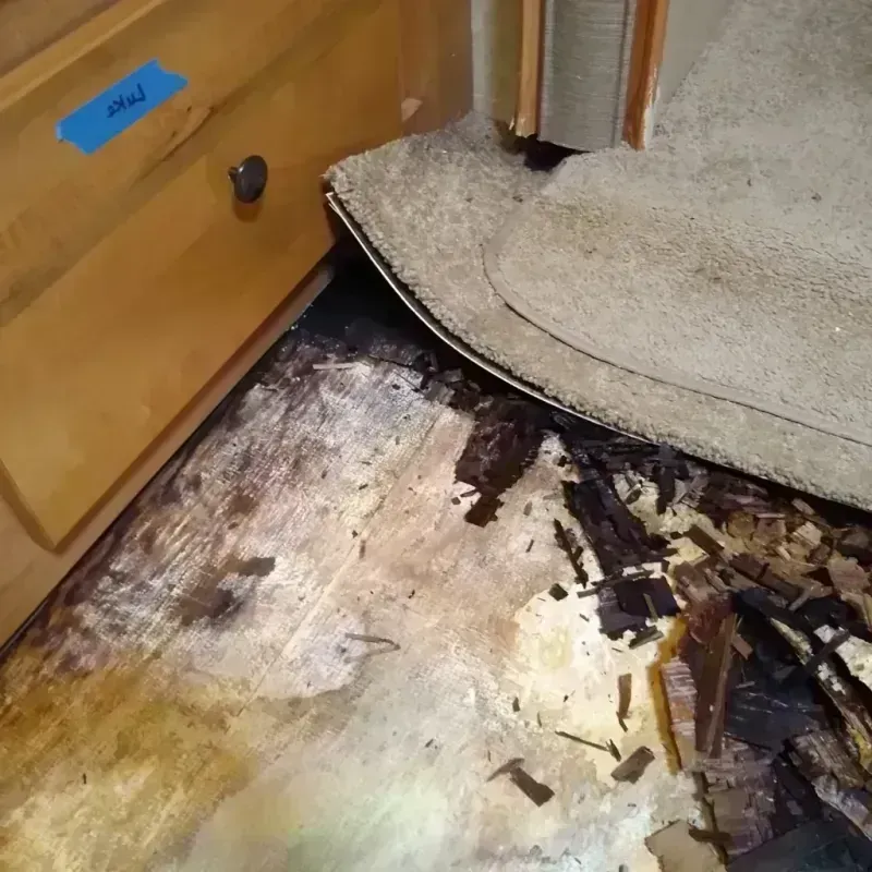 Best Wood Floor Water Damage Service in Arcola, IL